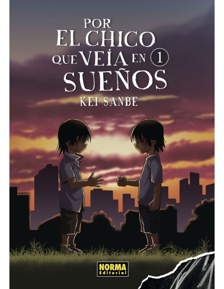 Por el chico que veia en suenos 1