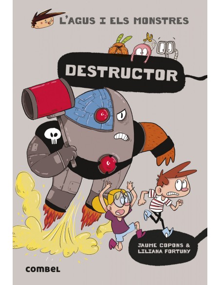 Destructor