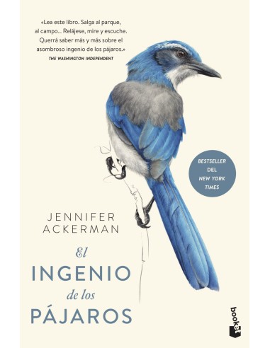 El ingenio de los pajaros