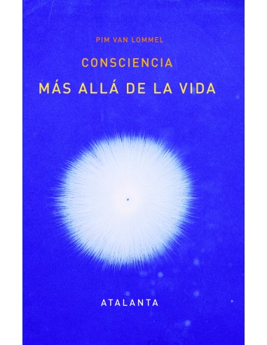 Consciencia mas alla de la vida