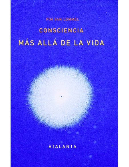 Consciencia mas alla de la vida