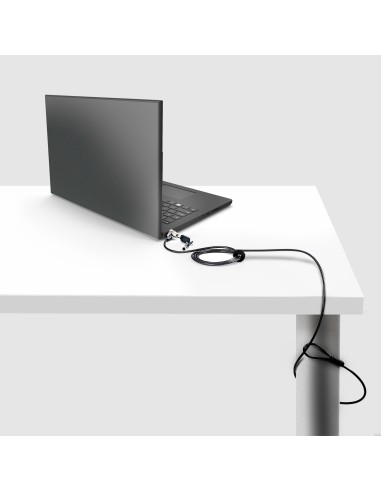 NBLWK-LAPTOP-LOCK cable antirrobo Negro, Plata 2 m