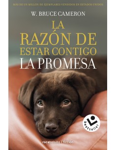 La razon de estar contigo La promesa
