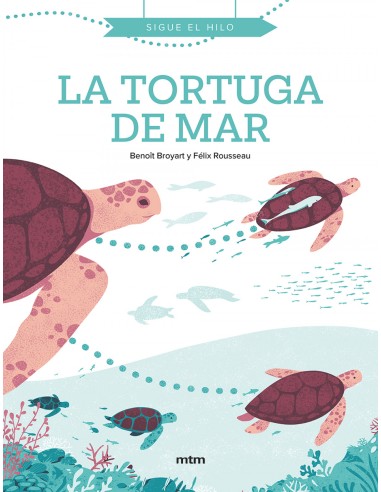LA TORTUGA DE MAR