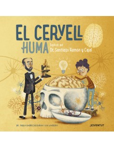 El cervell huma