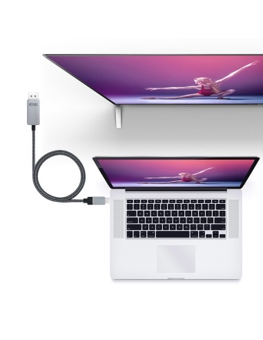 10.15.5002 adaptador de cable de vídeo 1,8 m USB Tipo C DisplayPort Aluminio, Negro