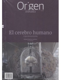 El cerebro humano