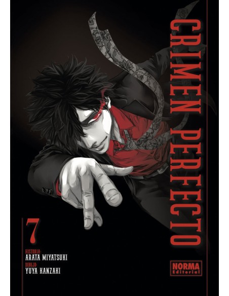 Crimen perfecto 7