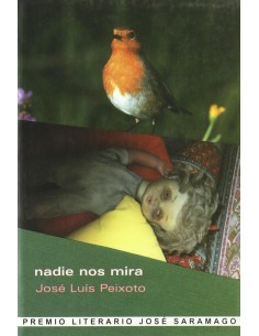 Nadie nos mira