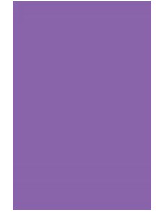 Paq 25 cartulinas 50x65 violeta iris 185 gr