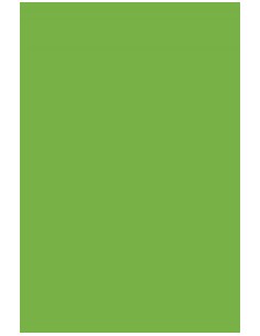 Paq 25 cartulinas 50x65 verde billar iris 185 gr