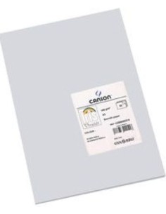Paq 25 cartulinas 50x65 gris perla iris 185 gr