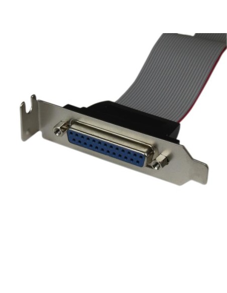 Adaptador de 40cm Header Cabezal Bracket Paralelo Perfil Bajo DB25 a IDC26 Pines Placa Base