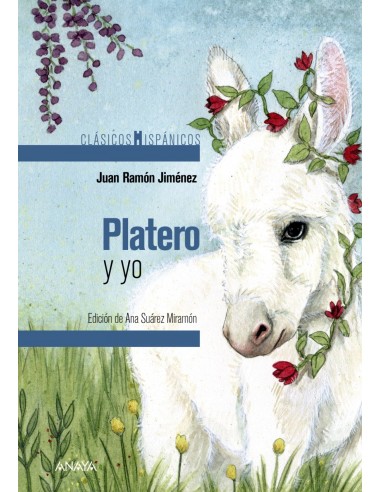 Platero y yo