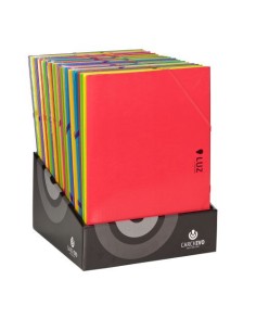 EXPOSITOR 30 CARPETAS SOLAPAS CARTON LUZ CON GOMA CARCHIVO 2033LE