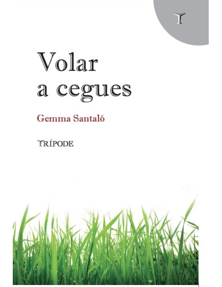 VOLAR A CEGUES