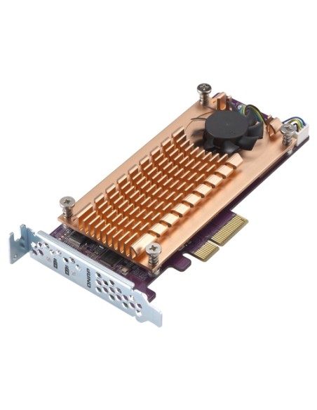 QM2-2S-220A tarjeta y adaptador de interfaz Interno M.2