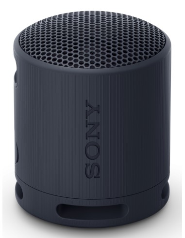 SRS-XB100 Altavoz monofónico portátil Negro