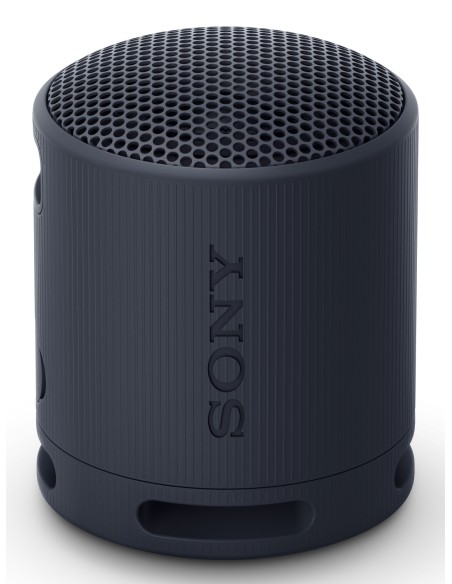 SRS-XB100 Altavoz monofónico portátil Negro