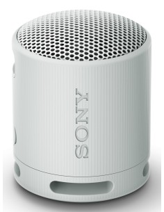 SRS-XB100 Altavoz monofónico portátil Gris