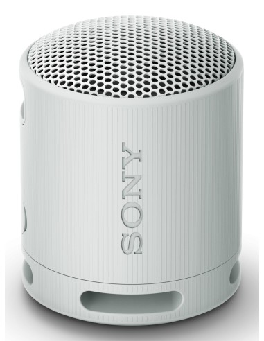 SRS-XB100 Altavoz monofónico portátil Gris