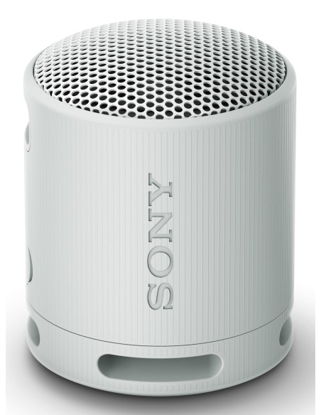 SRS-XB100 Altavoz monofónico portátil Gris