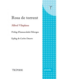 Rosa de torrent