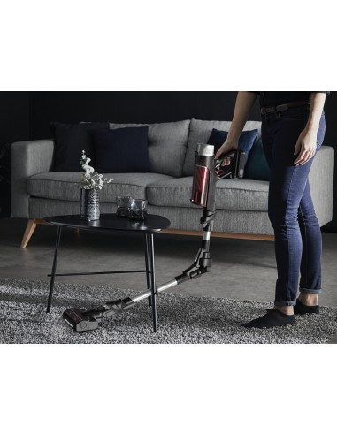 X-Force Flex 9.60 RH2077 aspiradora de mano Negro, Rojo Sin bolsa