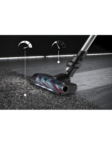 X-Force Flex 9.60 RH2077 aspiradora de mano Negro, Rojo Sin bolsa