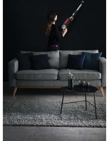 X-Force Flex 9.60 RH2077 aspiradora de mano Negro, Rojo Sin bolsa