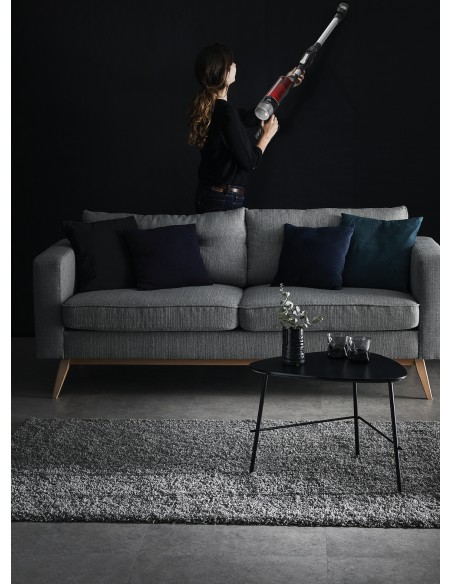 X-Force Flex 9.60 RH2077 aspiradora de mano Negro, Rojo Sin bolsa