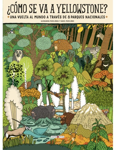 Como se va a Yellowstone