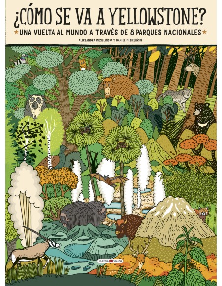 Como se va a Yellowstone