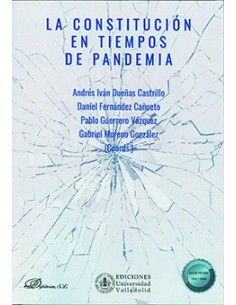 CONSTITUCION EN TIEMPOS DE PANDEMIA LA