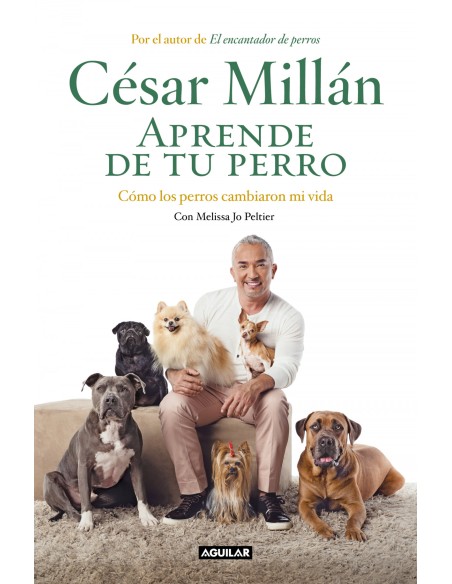 APRENDE DE TU PERRO
