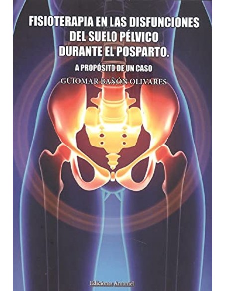 FISIOTERAPIA EN LAS DISFUNCIONES DEL SUELO PELVICO DURANTE E