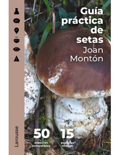 Guia practica de setas