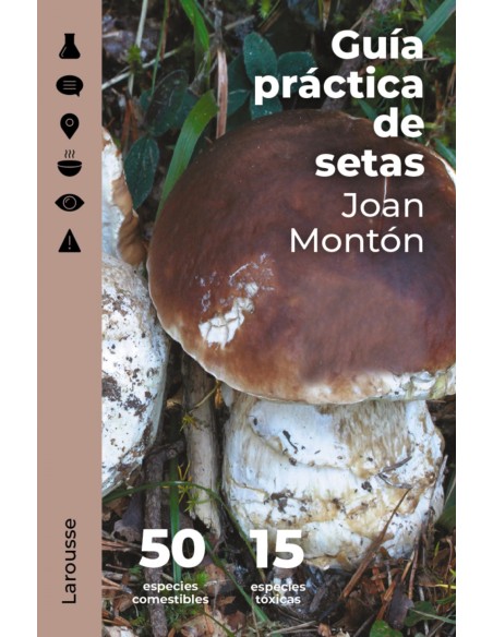 Guia practica de setas