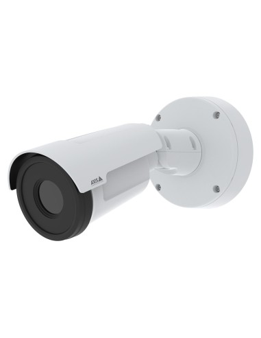 02174-001 cámara de vigilancia Bala (forma) Cámara de seguridad IP Exterior 384 x 288 Pixeles Pared