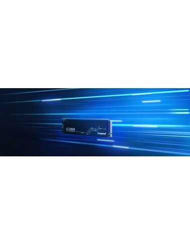 KC3000 M.2 1,02 TB PCI Express 4.0 3D TLC NVMe