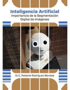 INTELIGENCIA ARTIFICIAL IMPORTANCIA DE LA SEGMENDIGITIMAG