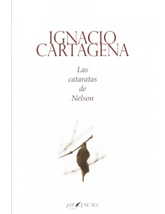 Las cataratas de nelson