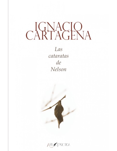 Las cataratas de nelson