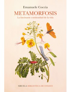 Metamorfosis