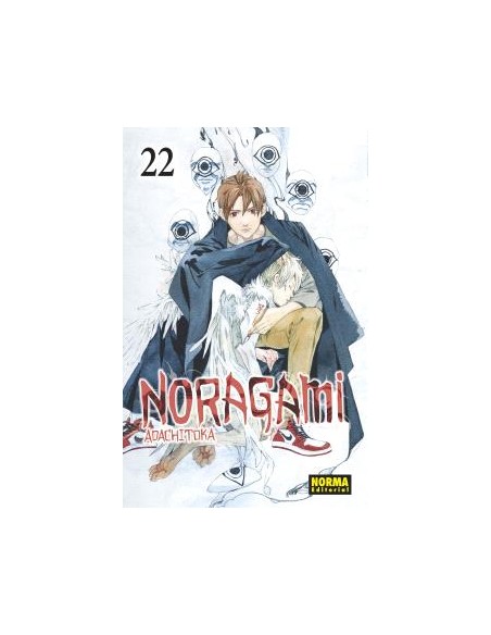 NORAGAMI 22