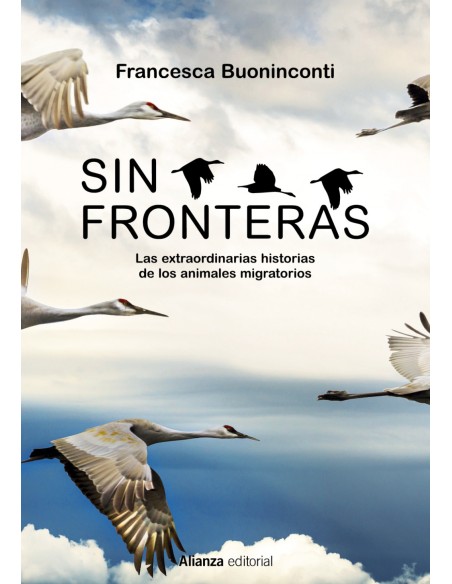 Sin fronteras