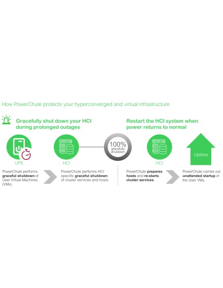 SWPCNS1Y-DIGI licencia y actualización de software Inglés 1 año(s)