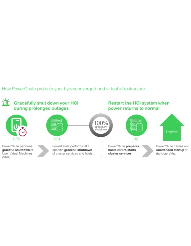SWPCNS3Y-DIGI licencia y actualización de software Inglés 3 año(s)