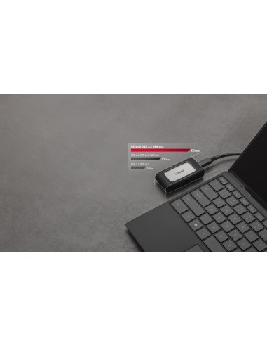 XS2000 1 TB Negro, Plata