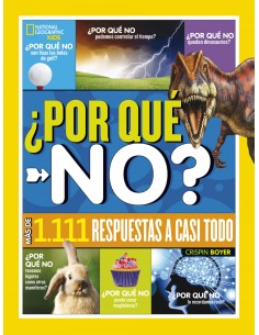Por que no